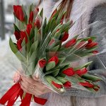 5шт тюльпанов