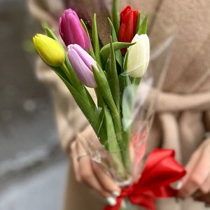 5шт тюльпанов