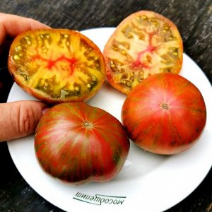 Помидоры Мятные Пёстрые Лилипуты — Dwarf Peppermint Stripes Tomato