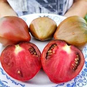 Помидоры Пурпурное Сердце Лилипута — Dwarf Purple Heart Tomato
