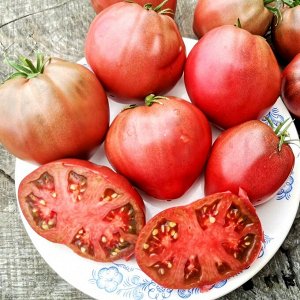 Помидоры Пурпурное Сердце Лилипута — Dwarf Purple Heart Tomato
