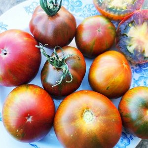 Помидоры Карлик Дельта — Delta Dwarf Tomato