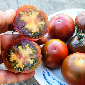 Помидоры Карлик Дельта — Delta Dwarf Tomato