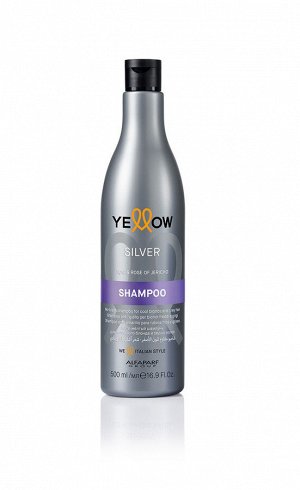 Антижёлтый шампунь для окрашенных волос Silver Shampoo 500 мл YELLOW