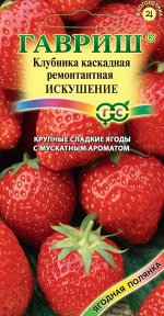 Земляника (Клубника) ампельная Искушение пробирка 10 шт.