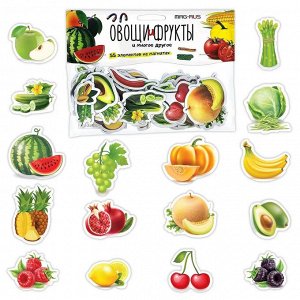 Обучающая игра Набор магнитов Анданте Овощи, фрукты, разные продукты, Познаем мир, 55 шт (NF1051)
