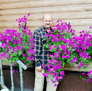 Помидом Петуния Фиалковая Дикая — Wild Violet Petunia