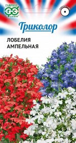 Лобелия Триколор серия, ампельная (смесь) 0,03 г