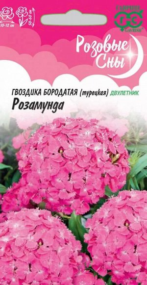 Гвоздика бородатая (турецкая) Розамунда 0,1 г, серия Розовые сны Н20