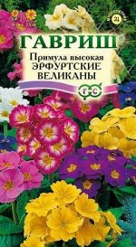 Примула Эрфуртские великаны* 20 шт. серия Устойчив к заморозкам!