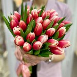 ХИТ! 🌷Сорт Датч Дизайн