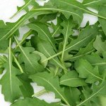 Рукола культурная Римские каникулы