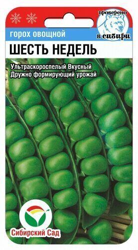 6 недель 5гр горох (Сиб Сад)