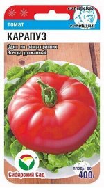 Томат Карапуз 20шт (Сиб Сад)