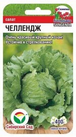 Салат Челлендж 10шт салат (Сиб Сад)