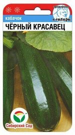 Кабачок Черный красавец 5шт (Сиб сад)