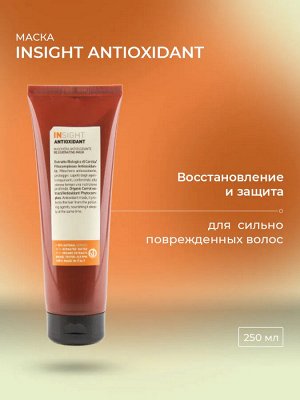INSIGHT Antioxidant Маска антиоксидант для перегруженных волос 250 мл