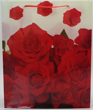 CN/ Пакет пластиковый №HL-B8806 (33*27*9см) Розы красные
