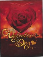 CN/ Пакет пластиковый №HL-D125 (24*18*7см) Valentine day