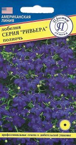 Лобелия куст.&quot;Ривьера&quot; Полночь