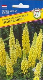 Люпин &quot;Канделябр&quot;