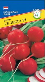 Редис &quot;Селеста&quot; F1