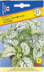 Гипоестес &quot;Конфетти&quot; Белый