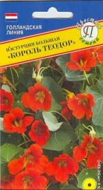 Настурция большая &quot;Король Теодор&quot;