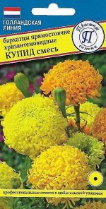 Бархатцы прям.хризантемовид, &quot;Купид&quot; смесь