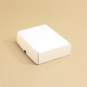 Коробка (5шт) почтовая плотная большая 300*200*80 мм белая