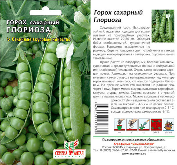 Горох никита описание и фото