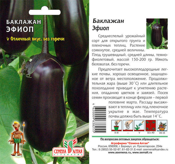 Баклажан африка описание сорта фото Баклажан Эфиоп/Семена Алтая/цп 0,2 гр. Арбузы, баклажаны, горох, дайкон, дыня. С