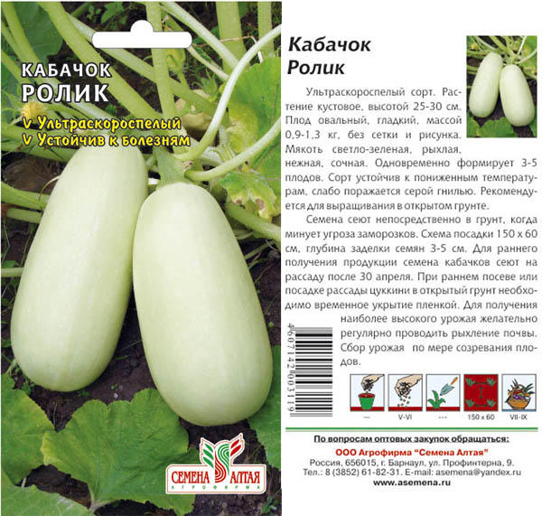Пупырчатый кабачок фото и описание сорта