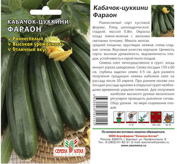 Кабачок фараон описание сорта фото