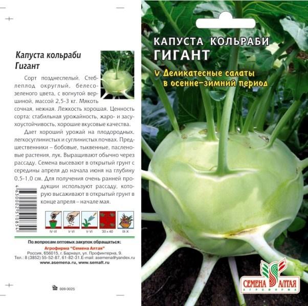 Капуста кольраби описание сорта фото Капуста Кольраби Гигант/Сем Алт/цп 0,3 гр. Цена за 2 пакетика. Семена овощей