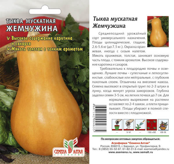 Грушевидная тыква название фото и описание Тыква Жемчужина Мускатная/Семена Алтая/цп 2 гр. тыквы, фасоль, экзотика, ягоды. 