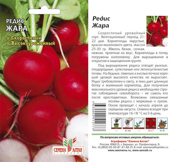 Редис сорта фото описание