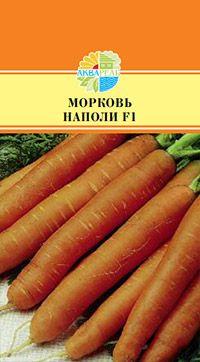 Акварель Морковь
