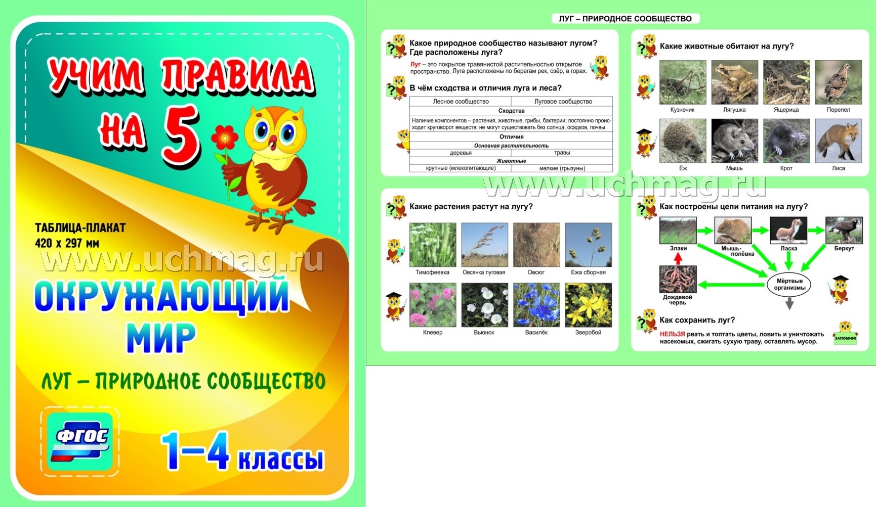 искусственные природные сообщества. природные сообщества 9 класс таблицы. разказ сообщество поле. изучение природного сообщества. природные сообщества.