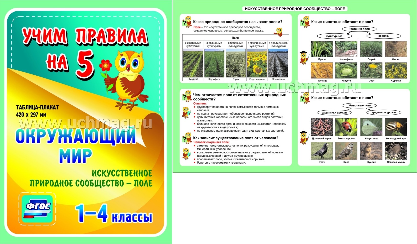 Природные сообщества