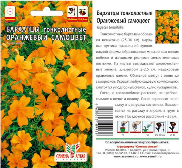 Цветы Бархатцы Оранжевый Самоцвет тонколистн./Сем Алт/цп 0,1 гр.