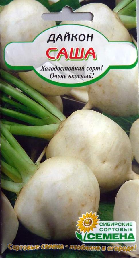 Дайкон Саша (сем.Россия) 1 г.