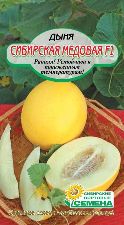 Дыня сибирская медовая. Дыня Алтайская. Арбуз Сибирский мед. Дыня Алтайская описание сорта фото отзывы садоводов.