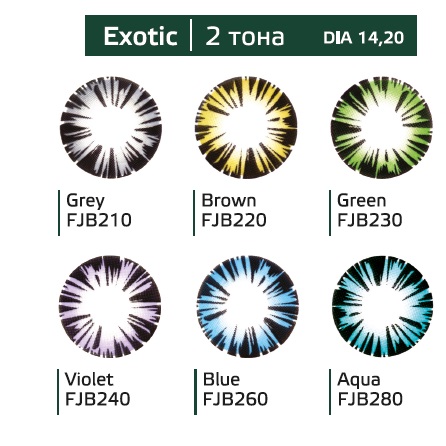 Перекрывающие цветные контактные линзы (Dreamcon) HERA Color Exotic Plano (2 линзы)