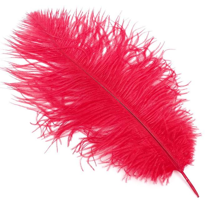 птичье перо. длинные красные перья. перья. красное перышко. красные перья арт.
