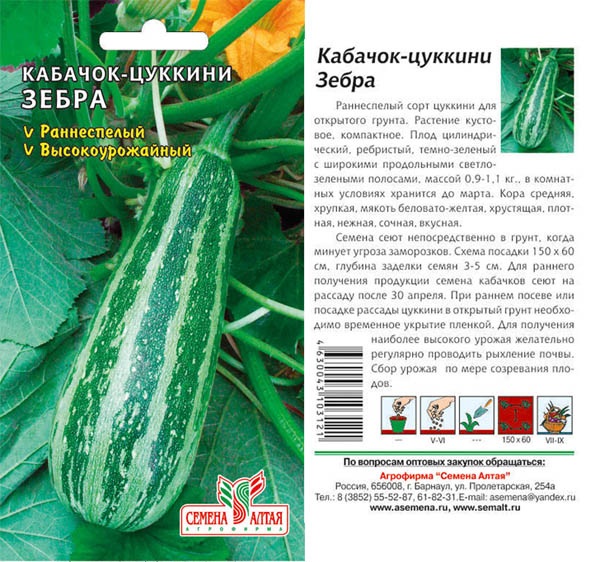 Кабачок шерхан описание сорта фото отзывы садоводов