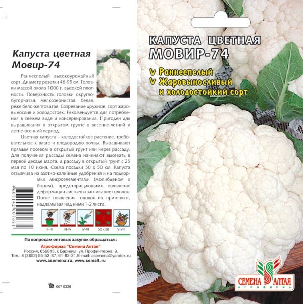 Капуста цветная сорта фото отзывы