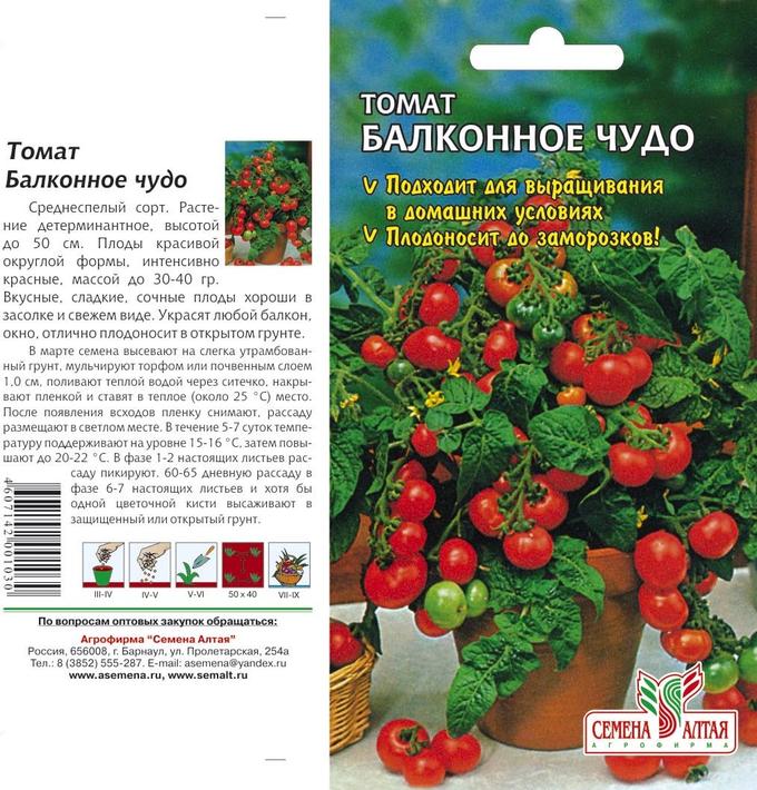 Помидор балконное чудо фото отзывы описание