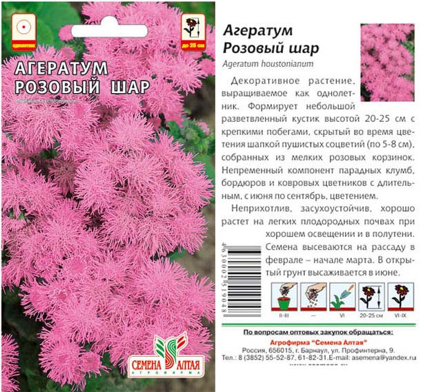 Агератум мексиканский розовый