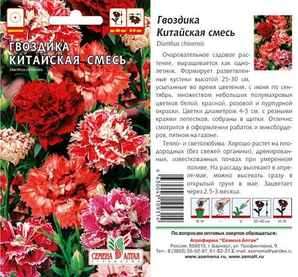 Китайская гвоздика семена фото Цветы Гвоздика Китайская Смесь окрасок/Семена Алтая/цп 0,1 гр. Семена однолетние